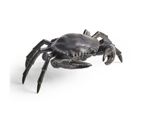 Dark Bronze Crab