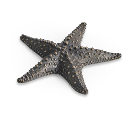 Dark Bronze Starfish