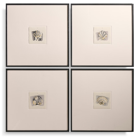 Architectural Clamshells - Set of 4