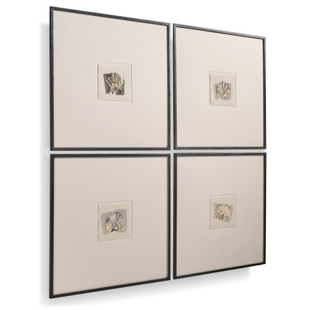 Architectural Clamshells - Set of 4