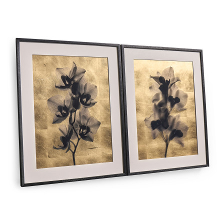 Black Orchids - Set of 2