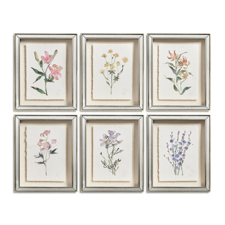 Petals and Process - Set of 6