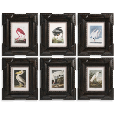 Audubon Birds - Set of 6