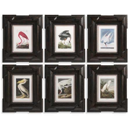 Audubon Birds - Set of 6