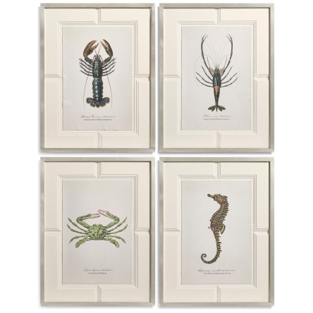 Vintage Marine Animals - Set of 4