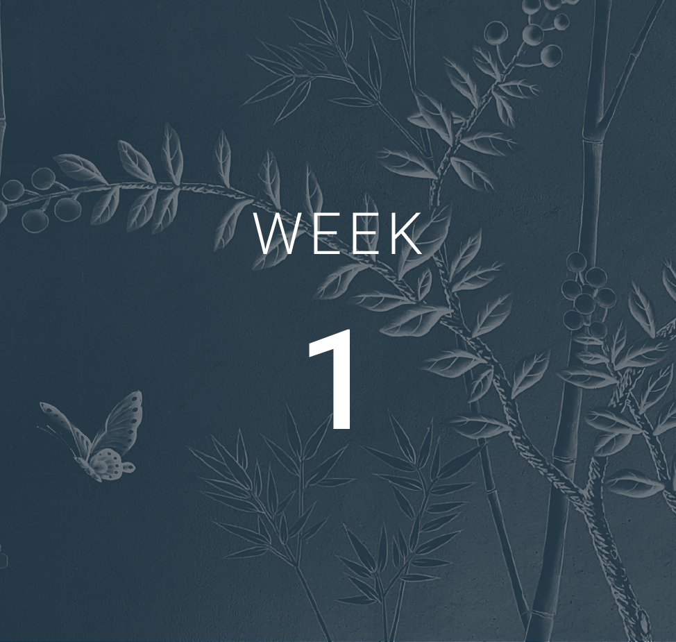 Week 1