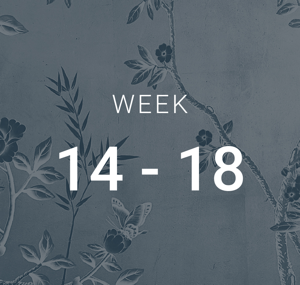 Week 14-18