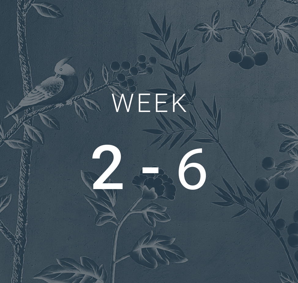 Week 2-6