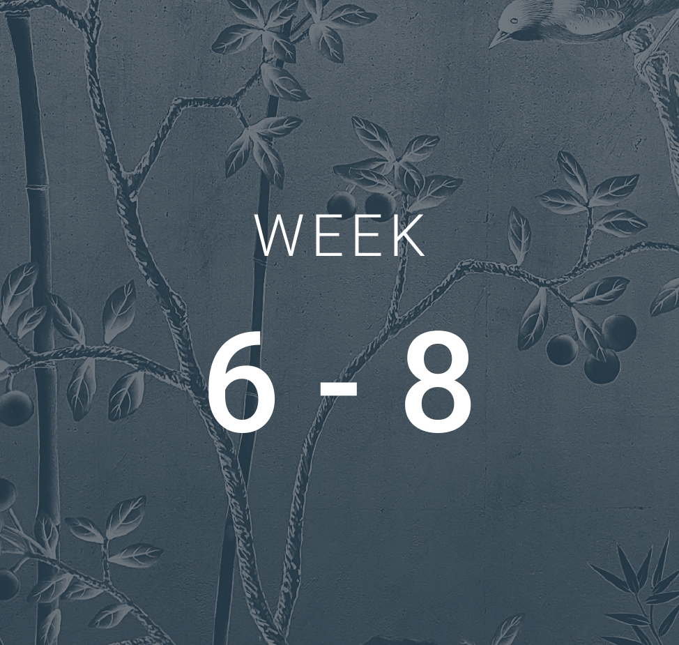 Week 6-8