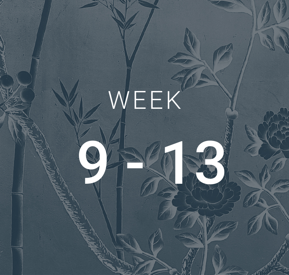 Week 9-13
